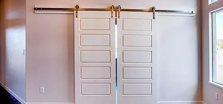 Glass Barn Door with Installation Hardware Kit Somerville