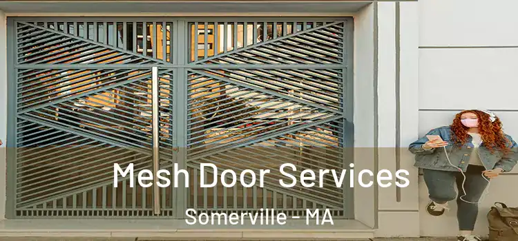 Mesh Door Services Somerville - MA